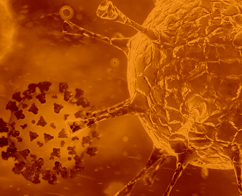 coronavirus-total